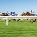 Track Bias Explained The Hidden Factor in Turf Races
