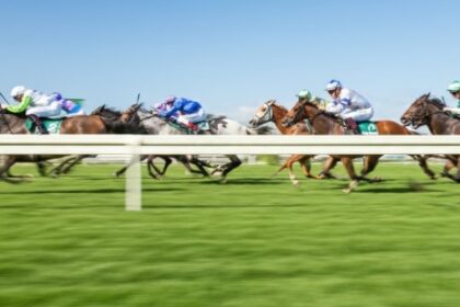 Track Bias Explained The Hidden Factor in Turf Races