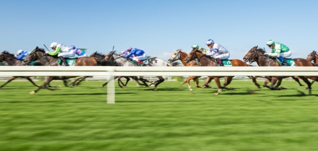 Track Bias Explained The Hidden Factor in Turf Races